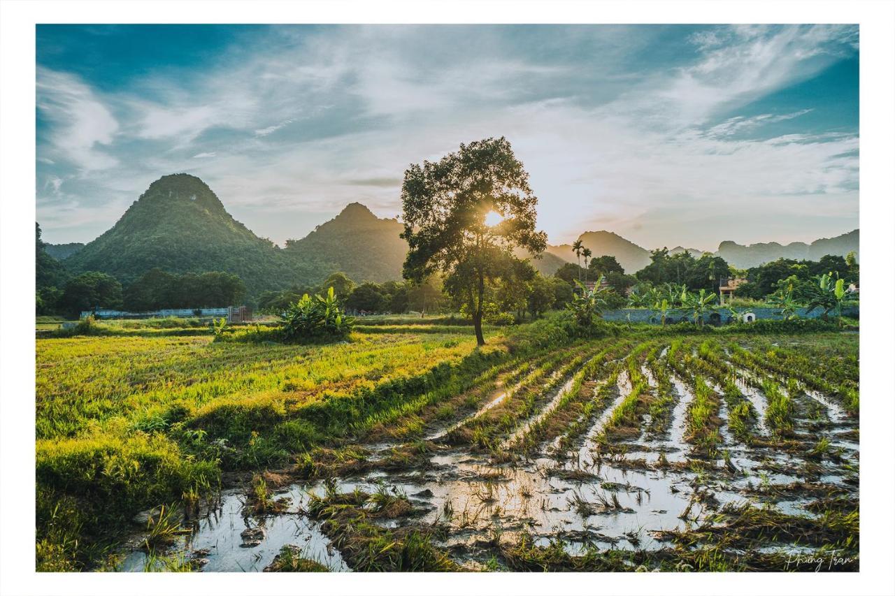 An Thái Homestay&Bar Ninh Bình Ngoại thất bức ảnh